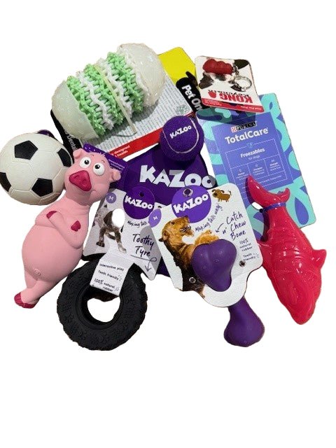 Roys Birthday Gift Bags - Dog - Woonona Petfoods
