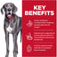 Hill's Science Diet Perfect Digestion Adult Large Breed Dry Dog Food