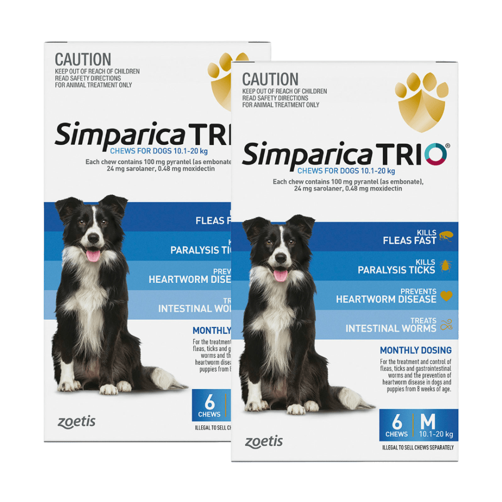 Simparica Trio 10.1kg - 20kg Dog Flea, Tick & Worm Chew - Woonona Petfoods