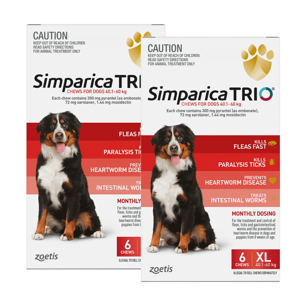 Simparica Trio 40.1kg - 60kg Dog Flea, Tick & Worm Chew - Woonona Petfoods