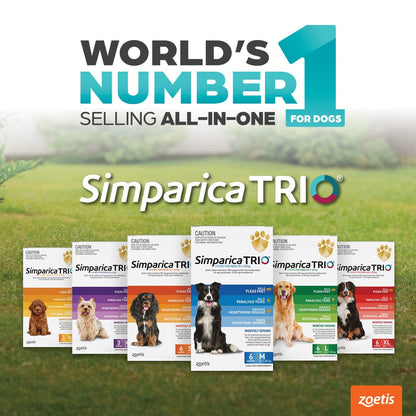 Simparica Trio 5.1kg - 10kg Dog Flea, Tick & Worm Chew - Woonona Petfoods