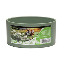 Small Animal Feeder Weighted Round 500ml - Woonona Petfoods