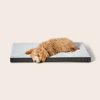 Snooza Orthobed Plush Grey - Woonona Petfoods