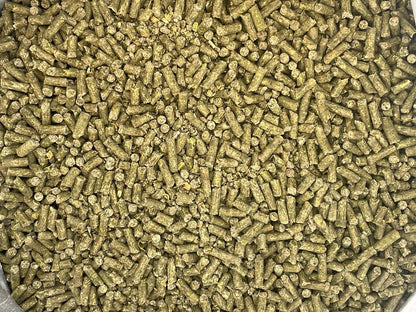 Stable - Ised Equine PractiBalance 25kg - Woonona Petfoods