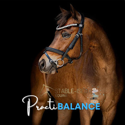 Stable - Ised Equine PractiBalance 25kg - Woonona Petfoods