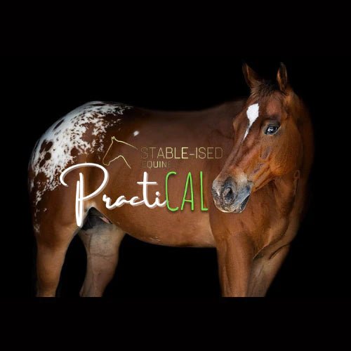 Stable - Ised Equine PractiCal 25kg - Woonona Petfood & Produce