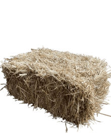 Straw - Woonona Petfoods