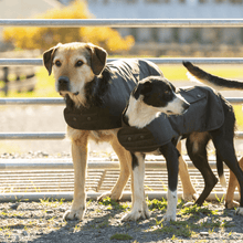Styx Mill Oilskin Dog Coat Brown Lined - Woonona Petfoods