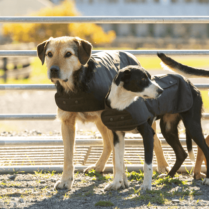 Styx Mill Oilskin Dog Coat Brown Lined - Woonona Petfoods