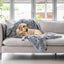 Superior Pet Bed Calming Blanket Dove Grey Water Resistant Large - Woonona Petfoods