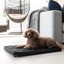 Superior Pet Dog Mat Canvas - Woonona Petfoods