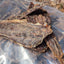 The Pawfect Butcher Venison Jerky 100g - Woonona Petfoods