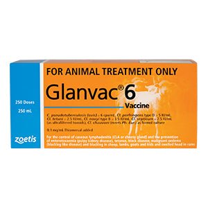 Vaccination Glanvac 6 250ml - Woonona Petfood & Produce