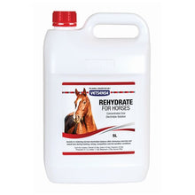 Vetsense Rehydrate for Horses - Woonona Petfoods