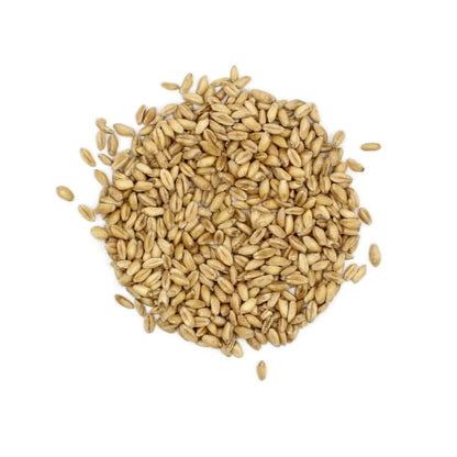 Wheat Hard per