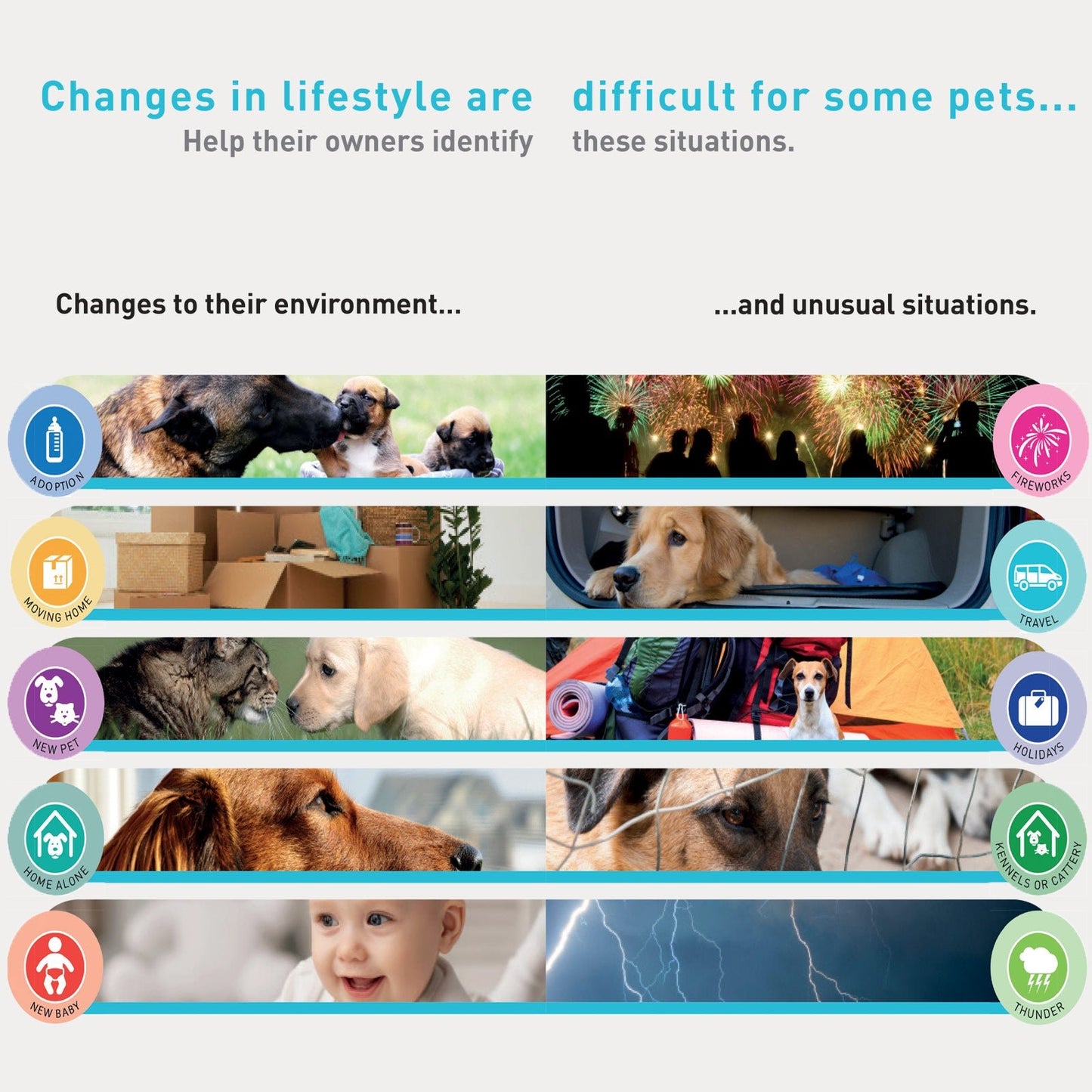 Zylkene Calming Supplement For Small Dogs and Cats 30 Capsules - Woonona Petfoods