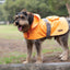 Kazoo Dog Coat Rainy Days Orange