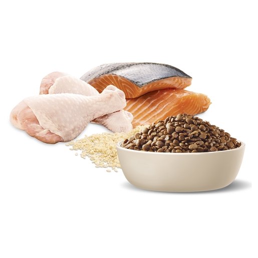 Advance Cat Multi 3kg Chicken And Salmon - Woonona Petfood & Produce