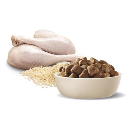 Advance Dry Dog Food Adult Large Breed 15kg Turkey - Woonona Petfood & Produce