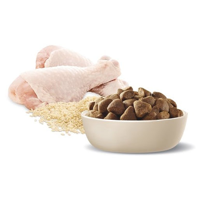 Advance Dry Dog Food Healthy Age Large Breed Chicken 15kg - Woonona Petfood & Produce