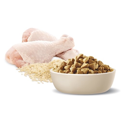 Advance Dry Dog Food Healthy Weight Medium Breed 13kg - Woonona Petfood & Produce