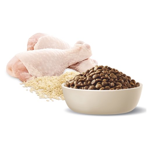 Advance Dry Dog Food Puppy Medium Breed Chicken 3kg - Woonona Petfood & Produce