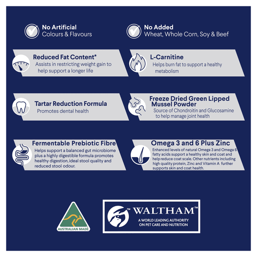 Advance toy small sales breed