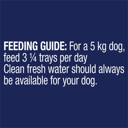 Advance Wet Dog Food Adult Turkey 100g - Woonona Petfood & Produce