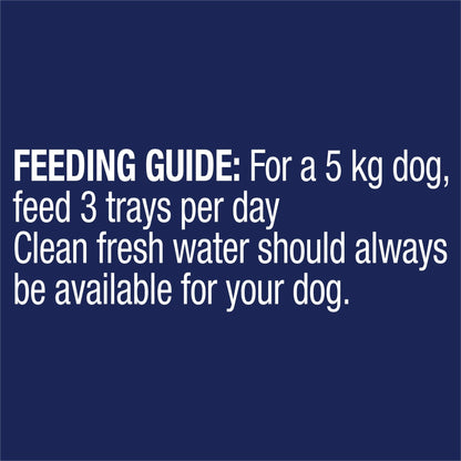 Advance Wet Dog Food Oodles Adult Salmon 100g - Woonona Petfood & Produce