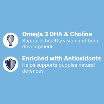 Advance Wet Dog Food Puppy Chicken and Rice 100g - Woonona Petfood & Produce