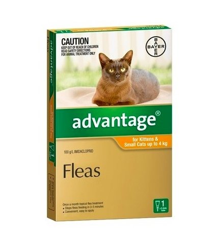Advantage Cat 0-4kg Orange 1 Pack - Woonona Petfood & Produce