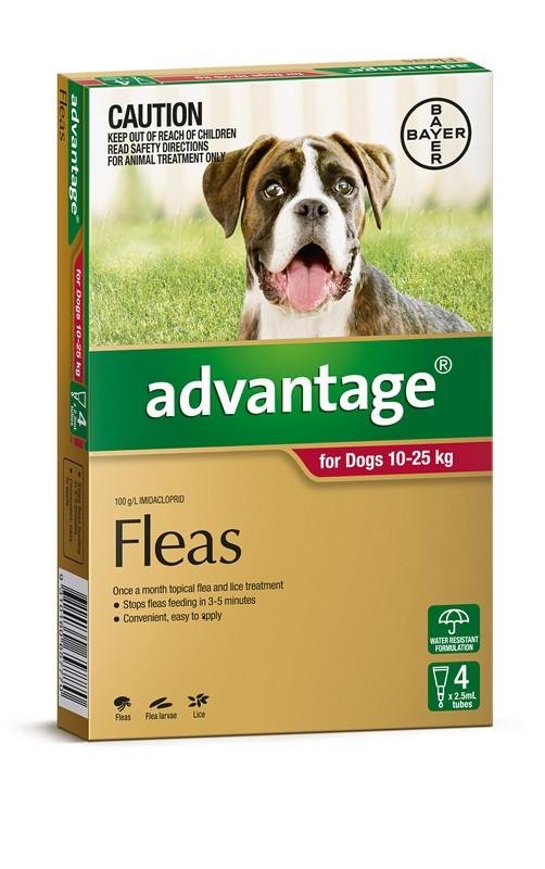 Advantage Dog 10-25kg Red - Woonona Petfood & Produce