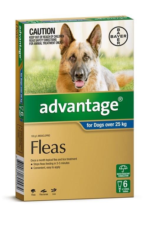 Advantage Dog 25-50kg Blue - Woonona Petfood & Produce