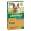 Advantage Dog 25-50kg Blue - Woonona Petfood & Produce