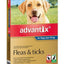 Advantix Dog Extra Large Over 25kg - Woonona Petfood & Produce