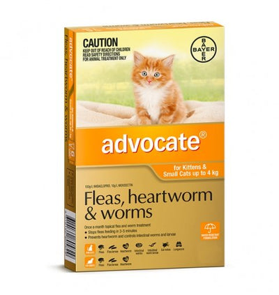 Advocate Cat 0-4kg 1 Pack Orange - Woonona Petfood & Produce