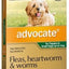 Advocate Dog Up To 4kg 1 Pack Green - Woonona Petfood & Produce