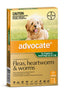 Advocate Dog Up To 4kg Green - Woonona Petfood & Produce