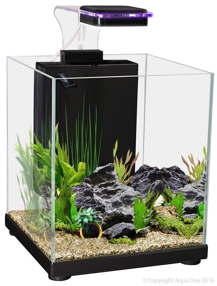 Aqua One Betta Sanctuary Glass Aquarium 10 Litre – Woonona Petfoods
