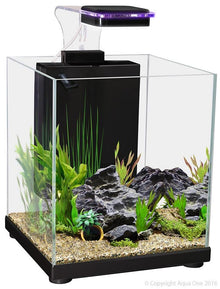 Aqua One Betta Sanctuary Glass Aquarium 10 Litre - Woonona Petfood & Produce