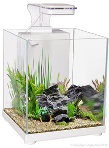 Aqua One Betta Sanctuary Glass Aquarium 10 Litre White - Woonona Petfood & Produce