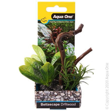 Aqua One Bettascape Lily Leaf on Driftwood Green - Woonona Petfood & Produce