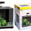 Aqua One Focus 14 Litre Glass Aquarium Black - Woonona Petfood & Produce
