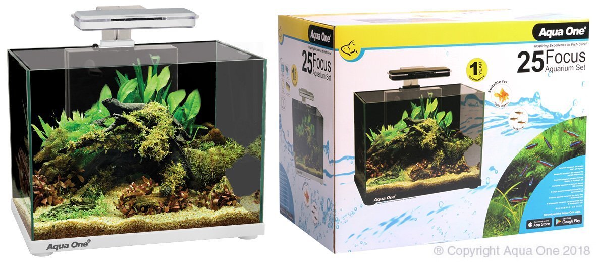 Aqua One Focus 25 Litre Glass Aquarium – Woonona Petfoods