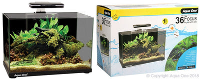 Aqua One Focus 36 Litre Glass Aquarium Black - Woonona Petfood & Produce