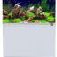 Aqua One LifeStyle 190 Complete Glass Aquarium 100cm 190L Gloss White - Woonona Petfood & Produce