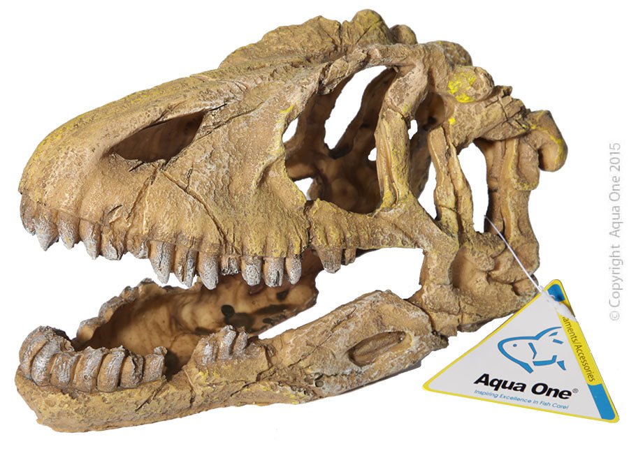 Aqua One Ornament Dinosaur Skull - Woonona Petfood & Produce