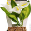 Aqua One Plastic Plant Calla Lily With Log Base Small - Woonona Petfood & Produce
