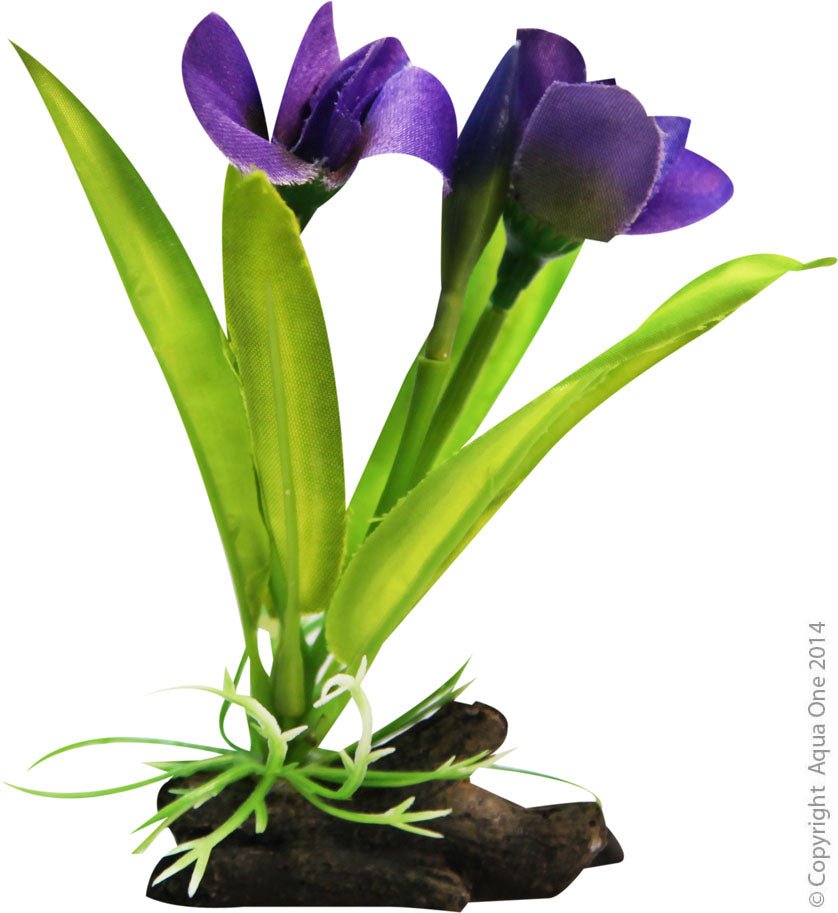 Aqua One Plastic Plant Violet With Log Base Small - Woonona Petfood & Produce