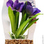 Aqua One Plastic Plant Violet With Log Base Small - Woonona Petfood & Produce